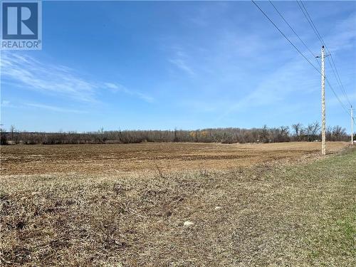 32 acres of the 47 acres are rented to a local farmer - 1344 Rodney Lane, Winchester, ON - Outdoor With View