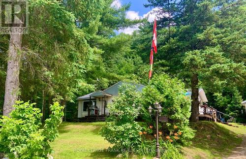 29620 Highway 62 N, Hastings Highlands, ON - Outdoor