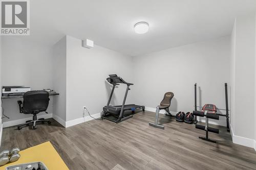 56 Lance Cove Road, Conception Bay South, NL - Indoor Photo Showing Gym Room
