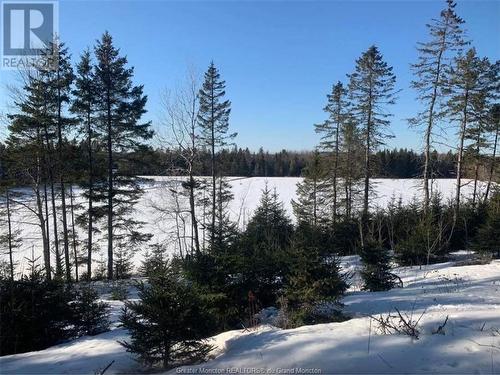 47299 Homestead Rd, Steeves Mountain, NB - Outdoor With View
