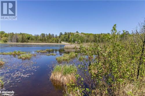 View of the Pond at the Back of the Property - 1010 Calico Road, Haliburton, ON 