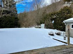 Forested area behind property and towering Niagara Escarpment views. - 