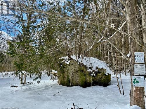 Famous Bruce Trail access is about 200 ft from the property. - 41 Water Street, South Bruce Peninsula, ON - Outdoor