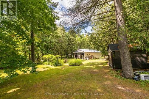 19 Bessie Avenue N, Kawartha Lakes (Bobcaygeon), ON - Outdoor