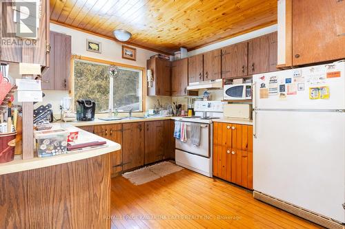 19 Bessie Avenue N, Kawartha Lakes, ON - Indoor Photo Showing Kitchen