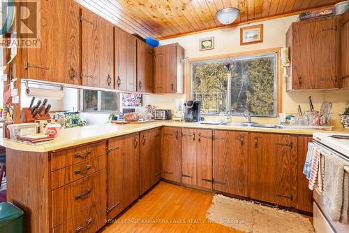 19 Bessie Avenue N, Kawartha Lakes, ON - Indoor Photo Showing Kitchen With Double Sink
