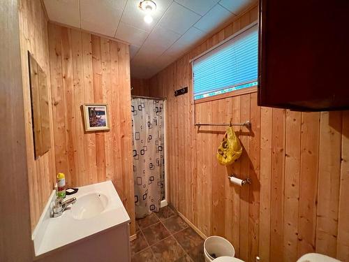 Salle de bains - 208 Ch. Baie-Dorval, Laniel, QC - Indoor Photo Showing Bathroom
