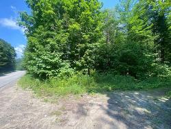 Land/Lot - 