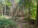 Land/Lot - Ch. De La Sauvagine, Mont-Blanc, QC 