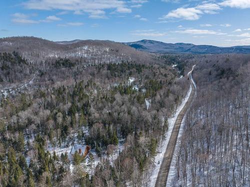 Land/Lot - Ch. De La Sauvagine, Mont-Blanc, QC 