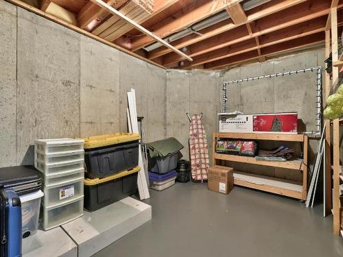 461 Nueva Wynd, Kamloops, BC - Indoor Photo Showing Basement