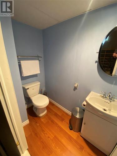 34 Towers Avenue, Gander, Nl, NL - Indoor Photo Showing Bathroom