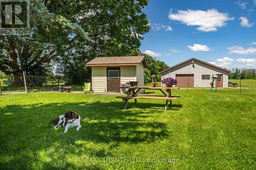 257 Elmbrook Road, Prince Edward County, ON - Outdoor