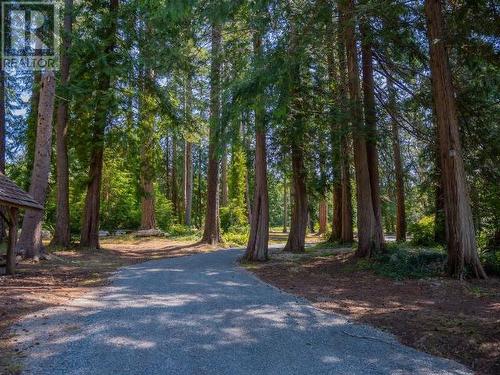 8447 Highway 101, Powell River, BC - Outdoor With View
