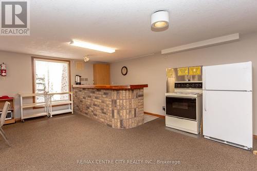 #201 -440 Wellington St S, St. Thomas, ON - Indoor Photo Showing Kitchen With Fireplace
