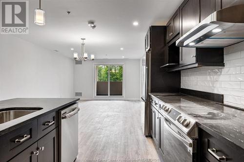 1500 Ouellette Unit# 305, Windsor, ON - Indoor Photo Showing Kitchen