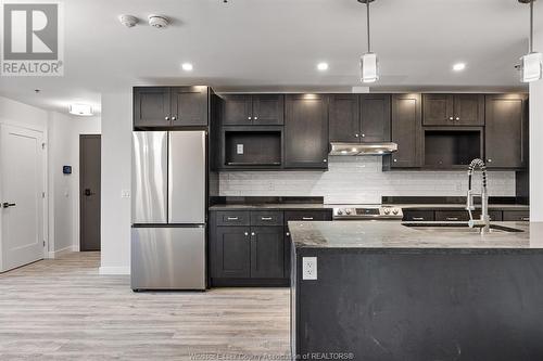 1500 Ouellette Unit# 305, Windsor, ON - Indoor Photo Showing Kitchen With Double Sink With Upgraded Kitchen