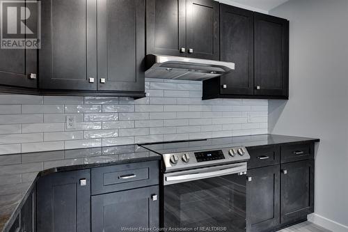 1500 Ouellette Unit# 405, Windsor, ON - Indoor Photo Showing Kitchen