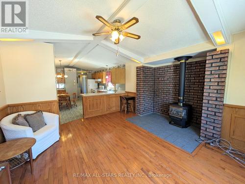 60 Otter Line, Kawartha Lakes, ON - Indoor Photo Showing Living Room With Fireplace