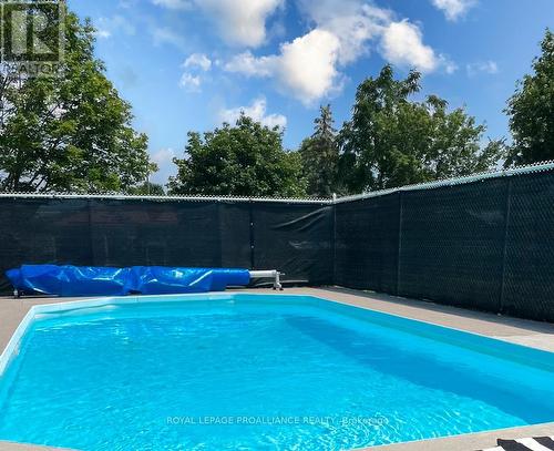 63 Centre St, Trent Hills, ON - Outdoor With In Ground Pool With Backyard