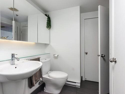Salle de bains - 604-950 Rue Notre-Dame O., Montréal (Le Sud-Ouest), QC - Indoor Photo Showing Bathroom