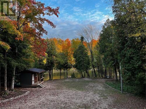 Fall views of the Sauble River directly in front of the property - 78 Indian Trail, Sauble Beach, ON - Outdoor