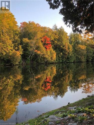 Fall views of the Sauble River directly in front of the property - 78 Indian Trail, Sauble Beach, ON - Outdoor With Body Of Water With View