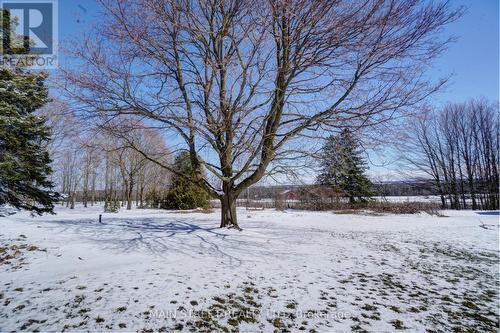 860 Reach Street, Scugog, ON - Outdoor With View