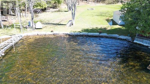 240 Burnt Dam Road, Havelock-Belmont-Methuen, ON - Outdoor With Body Of Water