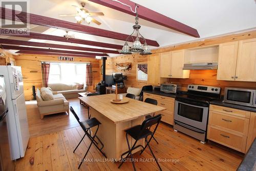 240 Burnt Dam Road, Havelock-Belmont-Methuen, ON - Indoor Photo Showing Kitchen