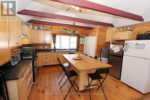 240 Burnt Dam Road, Havelock-Belmont-Methuen, ON - Indoor Photo Showing Kitchen With Double Sink