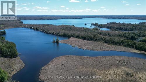 240 Burnt Dam Road, Havelock-Belmont-Methuen, ON - Outdoor With Body Of Water With View