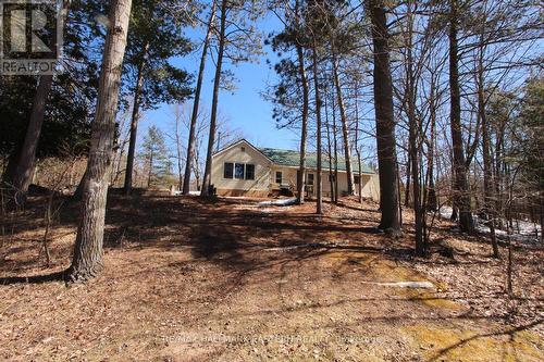 240 Burnt Dam Road, Havelock-Belmont-Methuen, ON - Outdoor With View