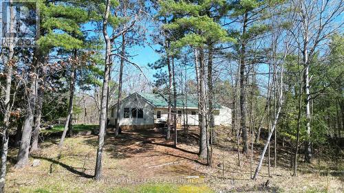 240 Burnt Dam Road, Havelock-Belmont-Methuen, ON - Outdoor With View