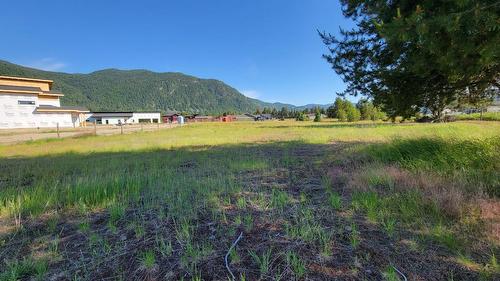 319 Elkview Trail, Castlegar, BC 