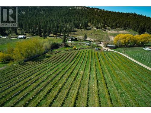 20412 Garnet Valley Road, Summerland, BC - Outdoor With View