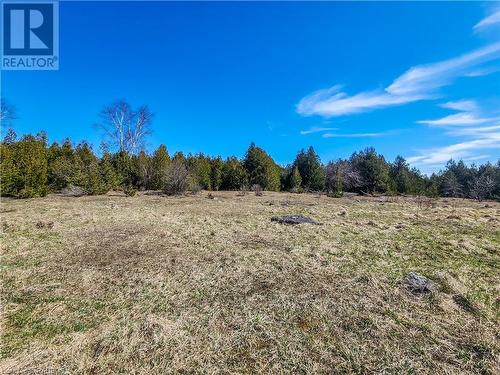 Cedar Clearing - 387 Spry Lake Road, South Bruce Peninsula, ON - Outdoor With View