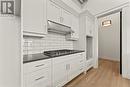 247 Brock Street Unit# 303, Amherstburg, ON  - Indoor Photo Showing Kitchen With Upgraded Kitchen 