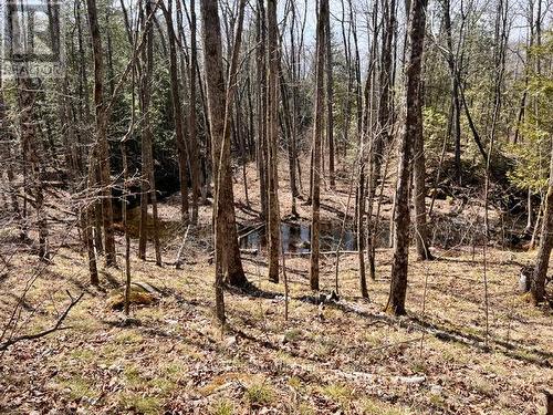 Lot B - 0 Storms Road, Stirling-Rawdon, ON 