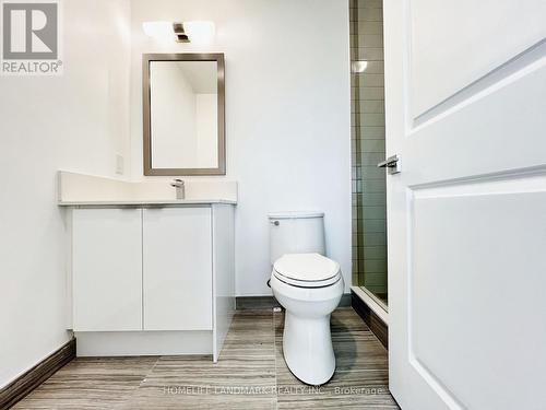 #334 -11750 Ninth Line, Whitchurch-Stouffville, ON - Indoor Photo Showing Bathroom