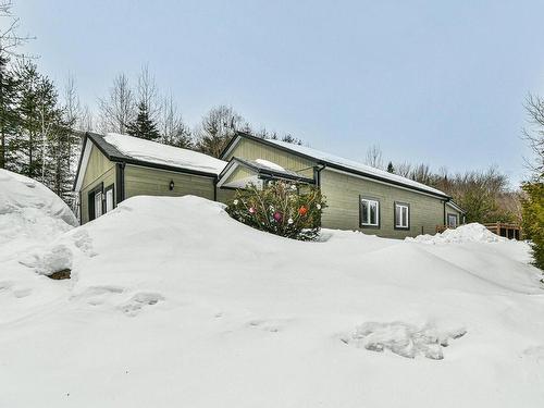 Overall view - 71 Rue Alarie, Val-David, QC - Outdoor