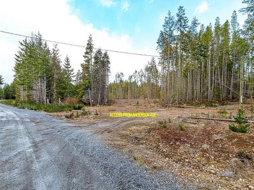Lot B Anderson Ave, Bowser, BC 