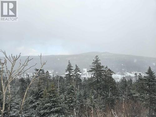 221 Dogberry Hill Road, St. Phillips, NL - Outdoor With View