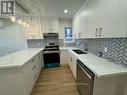 Main Fl - 102 Robina Avenue, Toronto, ON  - Indoor Photo Showing Kitchen With Double Sink 