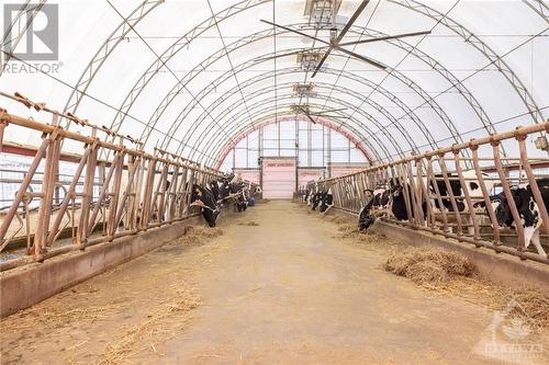 130' x 65' heifer barn with 60 free-stalls - 2718 & 2734 County Road 3 Road, St Isidore, ON 