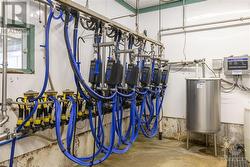 10 automatic take-off milk units on track system - 