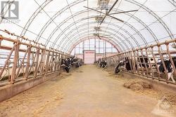 130' x 65' heifer barn with 60 free-stalls - 