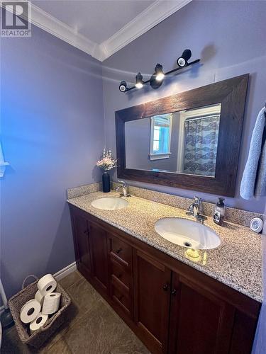 21 Ireland Drive, Grand Falls-Windsor, NL - Indoor Photo Showing Bathroom