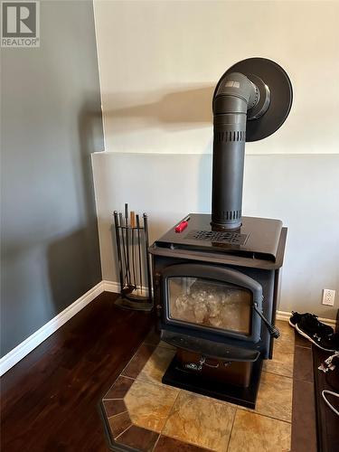 21 Ireland Drive, Grand Falls-Windsor, NL - Indoor With Fireplace