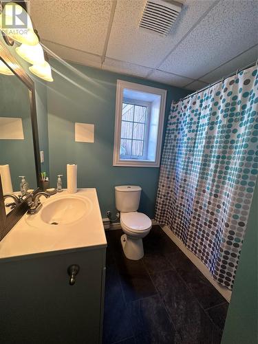21 Ireland Drive, Grand Falls-Windsor, NL - Indoor Photo Showing Bathroom